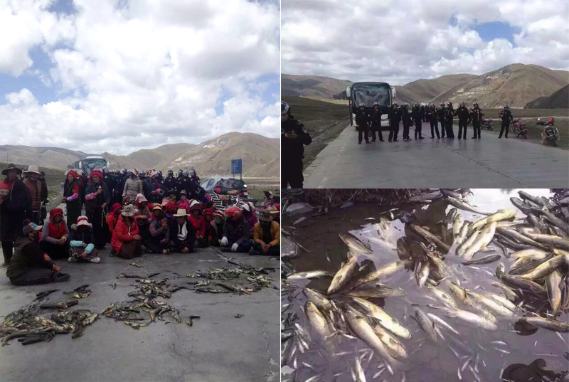 Effects of Lithium mining by the Lichu River in Kangding