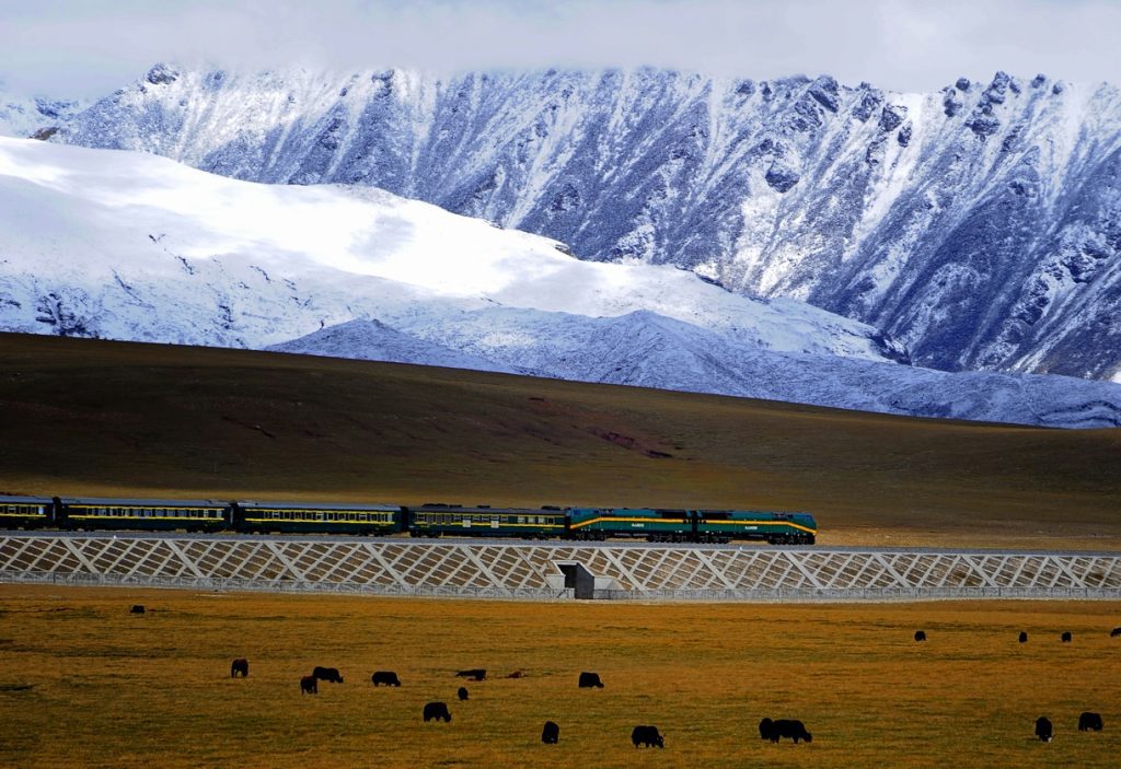 Train on Qingzang railway in Tibet