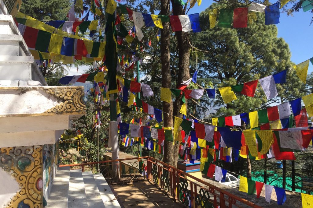 Prayer flags hung by the Dalai Lama's temple in Dharamsala, India
